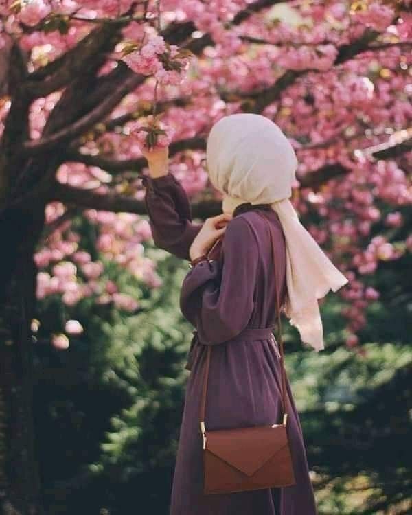 Hijabs Collection